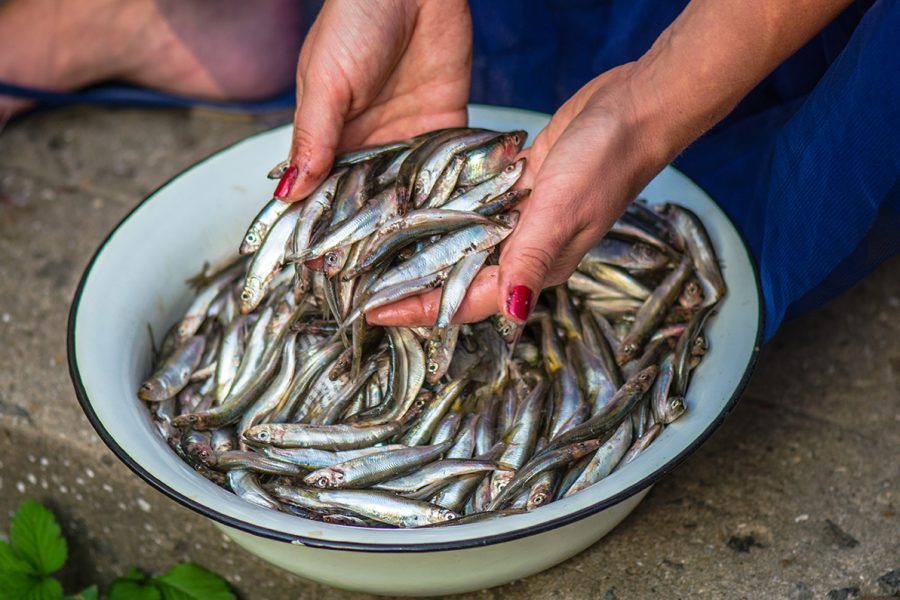 Sprat cult. Maria Kalenska blog about odessa