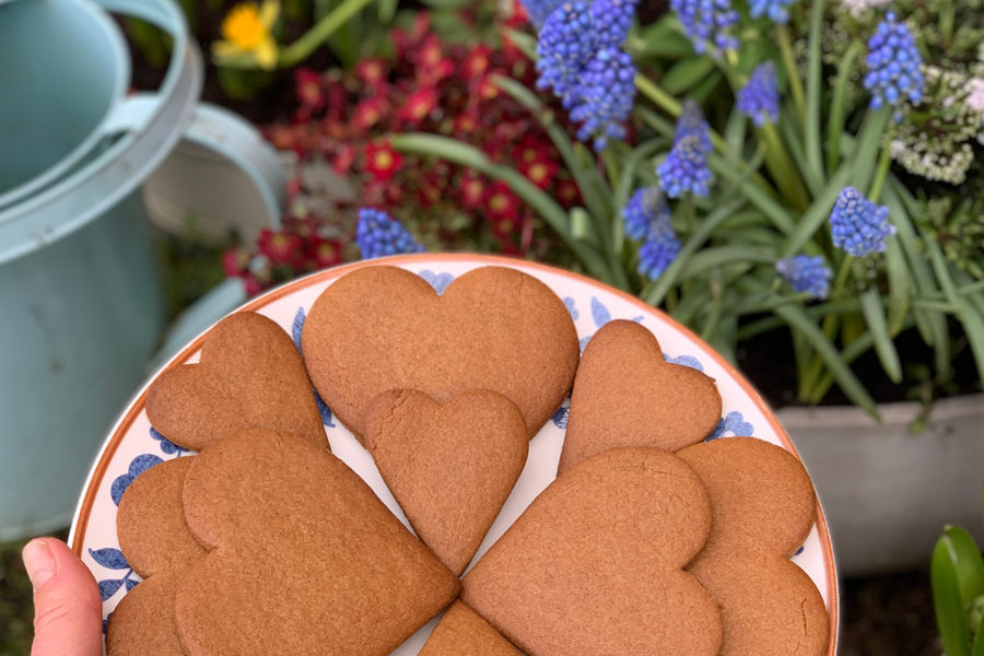 Lady Brunner's gingerbread. Delicious recipes from famous chefs.