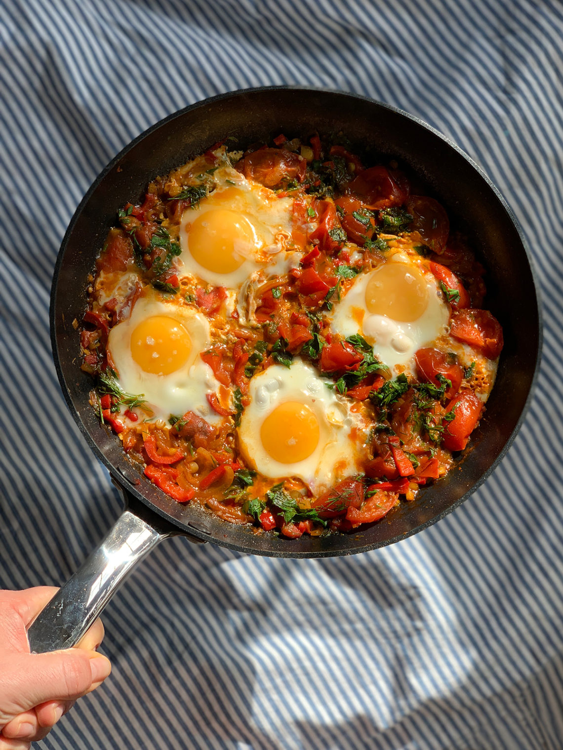 Worldwide Shakshuka. Tasty recipes online from famous chefs.