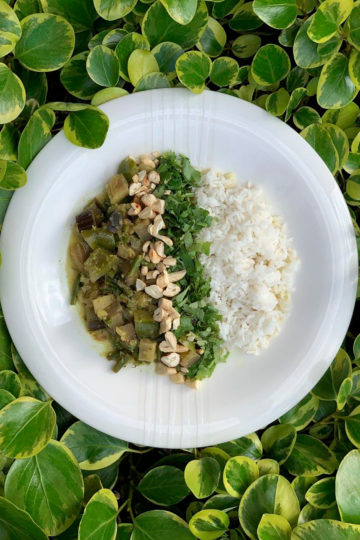 Aubergines vegan green curry by Andrei Velichko