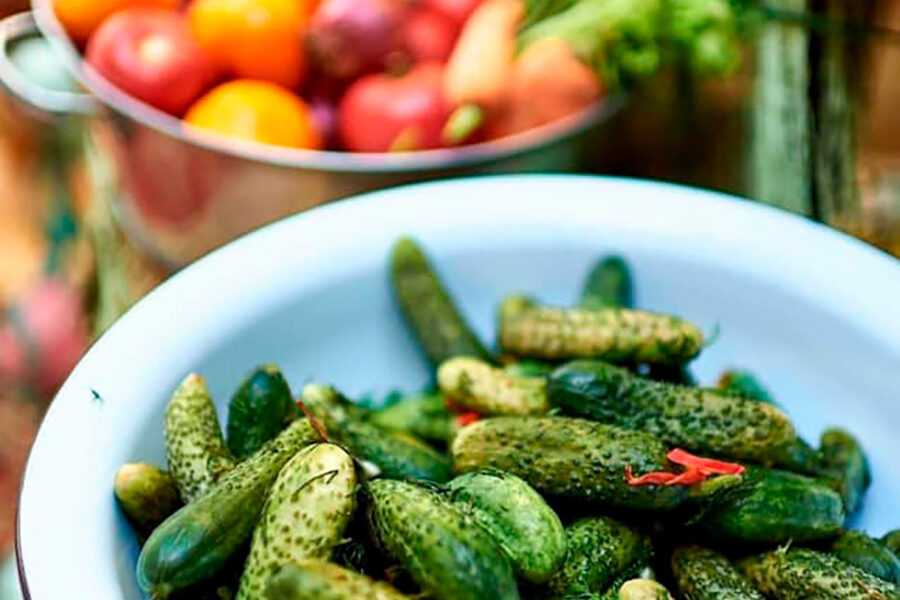 Odessa “5 minutes” pickled cucumbers. Cooking tips from famous chefs.