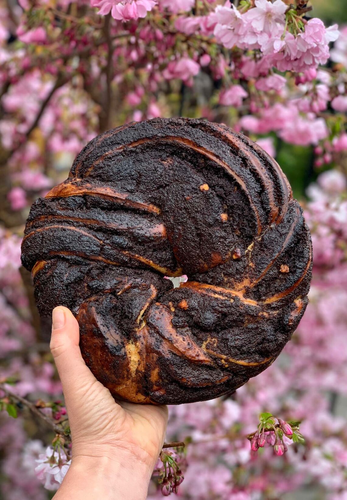 Ukrainian zavivanets with poppy seeds by Mykola Nevrev. The best culinary recipes on the gastronomy blog of Maria Kalenska.